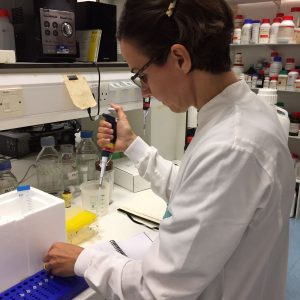 Pharma Factory students in the lab